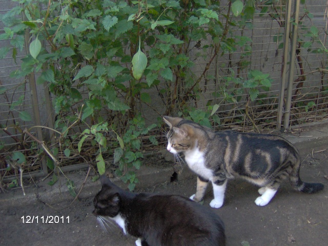 MOKA (04/2011) et SNOW (ex-Cazan 04/2014) Im000313