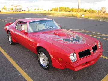 Trans Am 1976 42016010