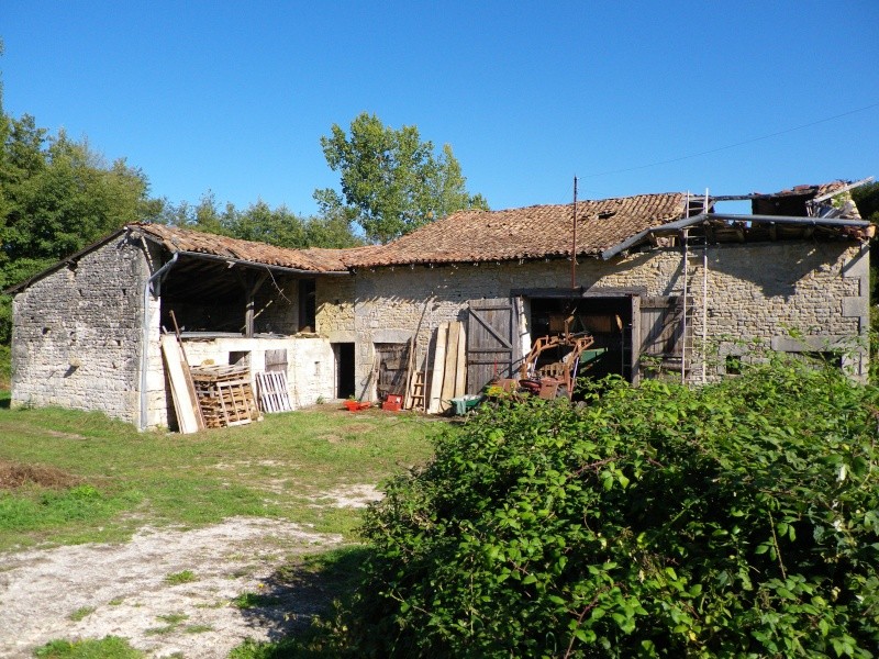 La permaculture du cagouillard Imgp0814