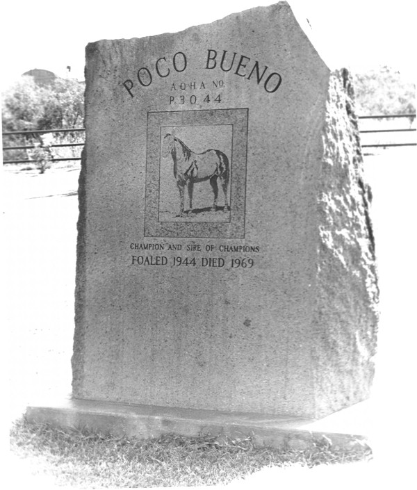 Poco Bueno Pocohs10
