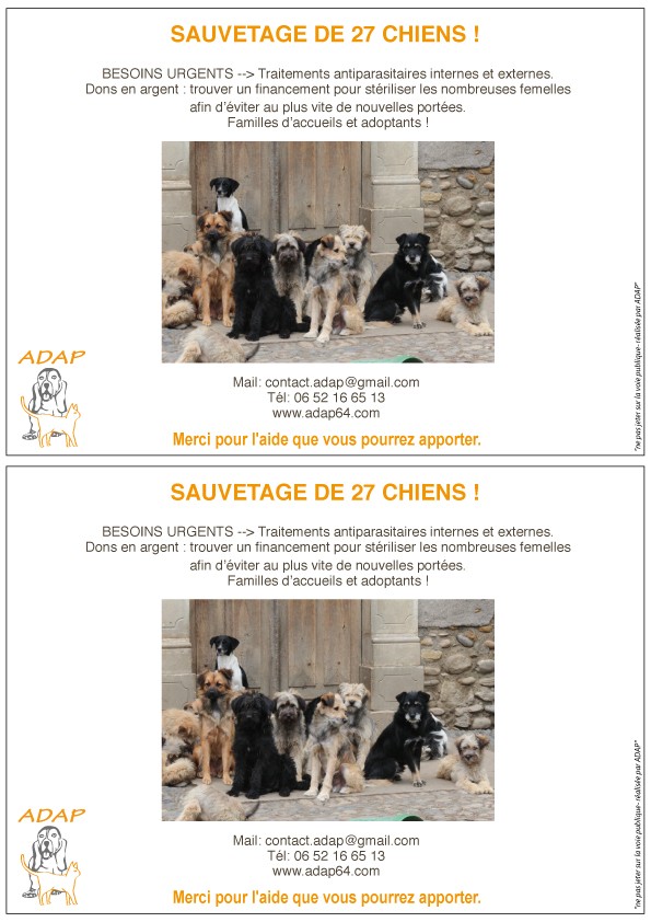 Aidez les - Gros Sauvetage en cours dans le 64 près de Pau - 27 chiens - Affich13