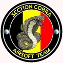 présentation de la Section Cobra Logo_c10