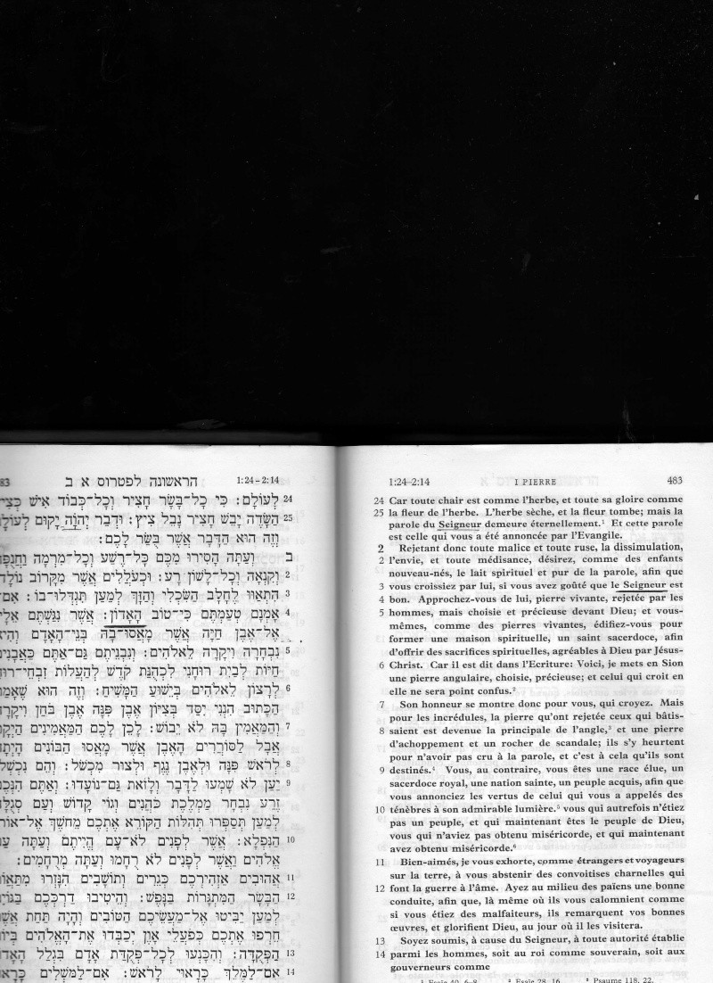 Pourquoi Jehovah dans le NT est une insulte à la foi chrétienne ? - Page 8 Img01013