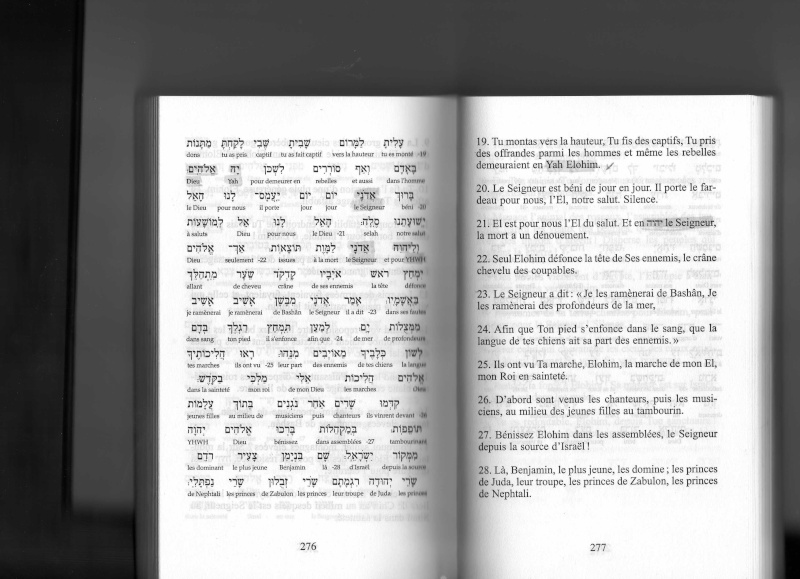 pourquoi le tétragramme a disparue dans le NT? - Page 10 Img18910