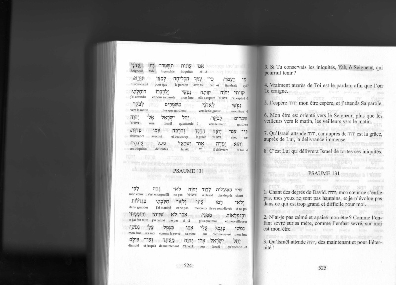 pourquoi le tétragramme a disparue dans le NT? - Page 12 Img19910