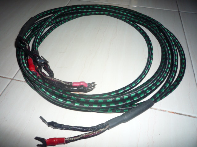 Audioquest CV4 Speaker Cable (Used) P1030134