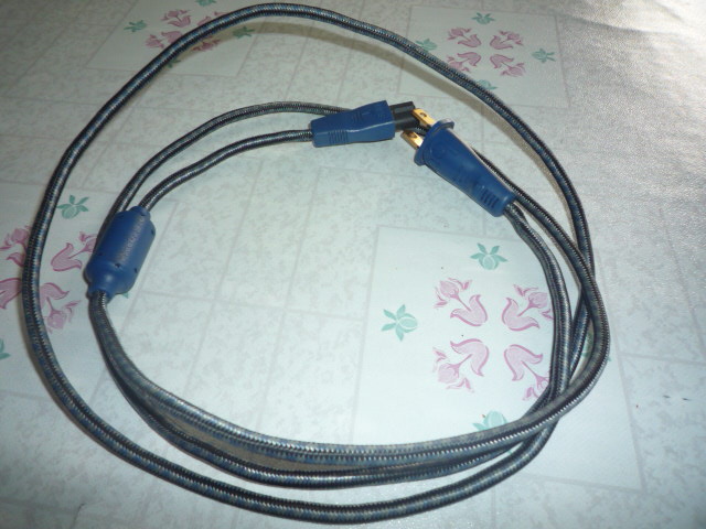 Audioquest NRG I Powercord (Used)SOLD P1030145