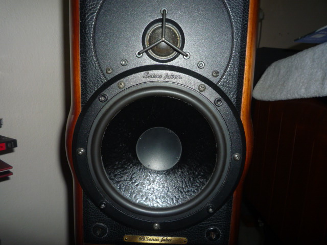 Sonus Faber Electa Amator Speaker (Used)SOLD P1030457