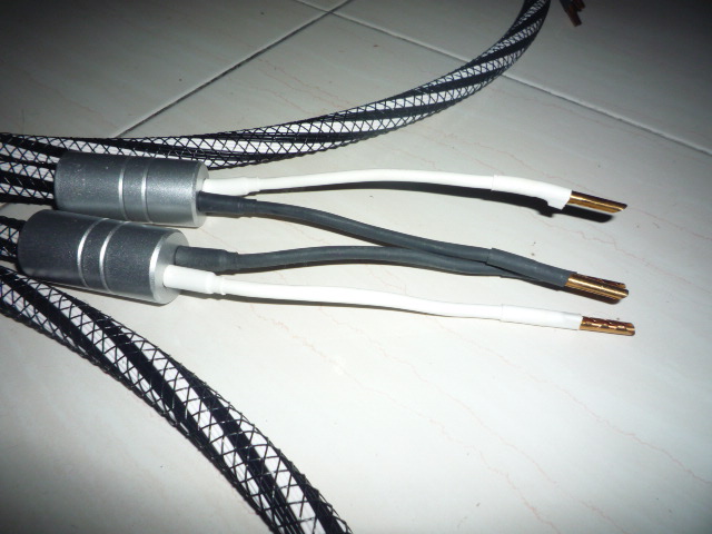 Inakustik Referenz LS1302 Speaker Cable (Used)SOLD P1030625