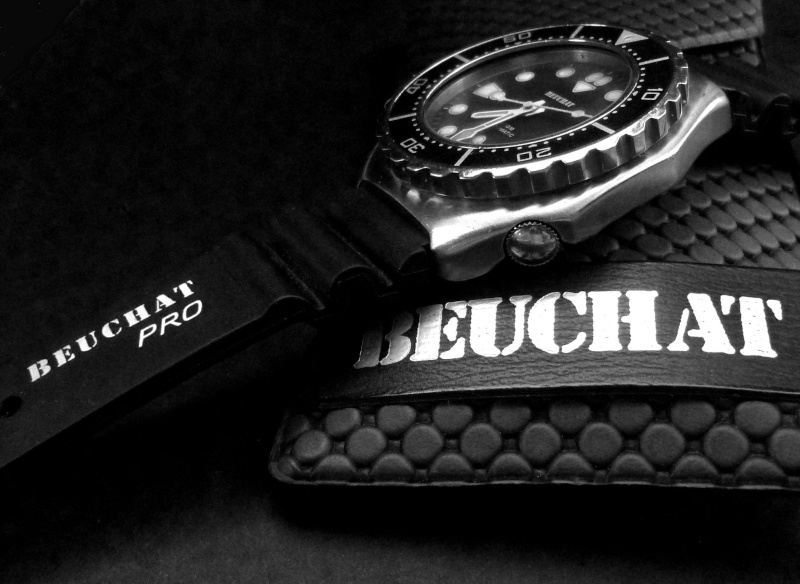 La ou les montres que vous avez préféré rentrer dans votre collection en cette année 2011 qui se termine! Beucha16