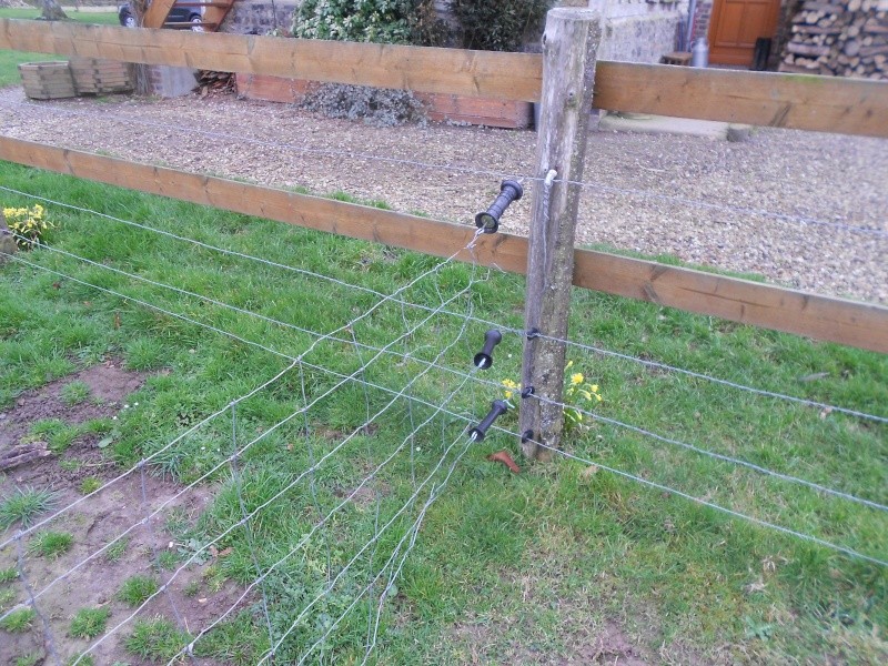 clôture en terrain difficile Dscn0420