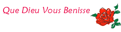 Bonjour à tous Une Parole de vie en ce 7Novembre = Conduis-moi, Seigneur! 68dc3b10