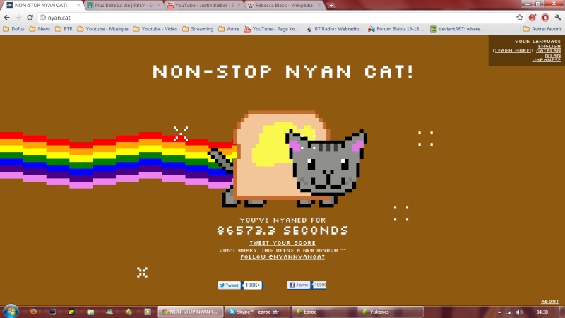 Venez vous tester au Nyan Cat ! Nyan10