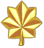 The Gold Star R.P.I.A