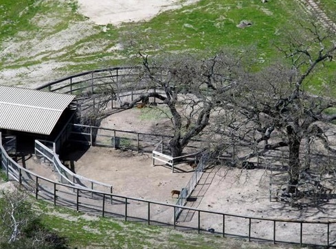 Neverland Valley Ranch - Pagina 4 Gugfuy10