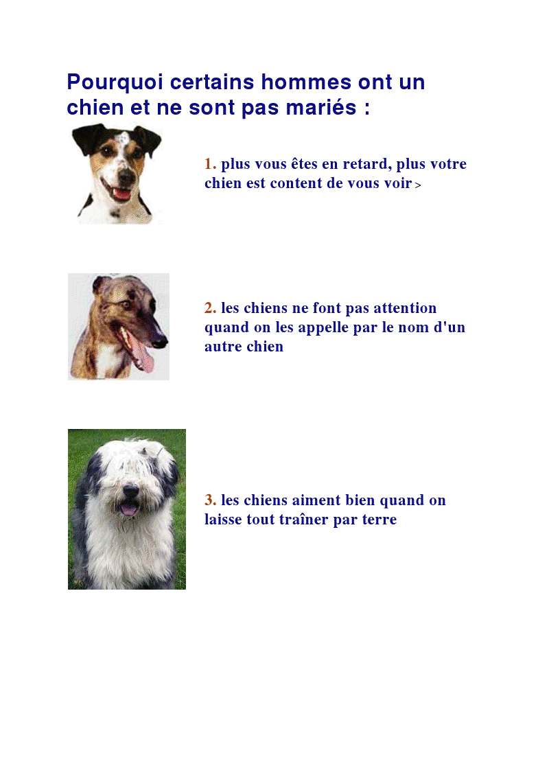 blagues - Page 4 Chien111