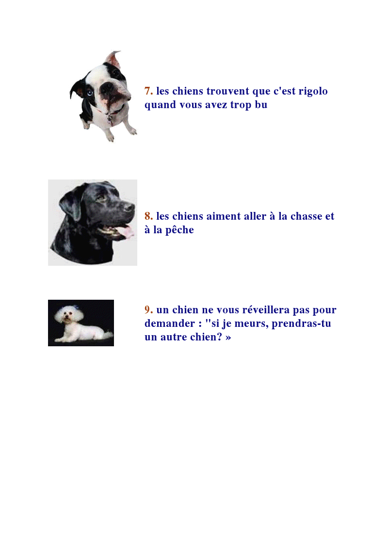 blagues - Page 4 Chien311