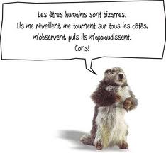04 Tres Bon Anniversaire Marmotte 04 Tres Bon Anniversaire Marmotte