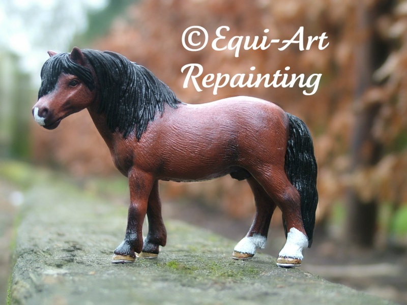 horses - SchleichHorsesForever's additions - Page 2 Pony10