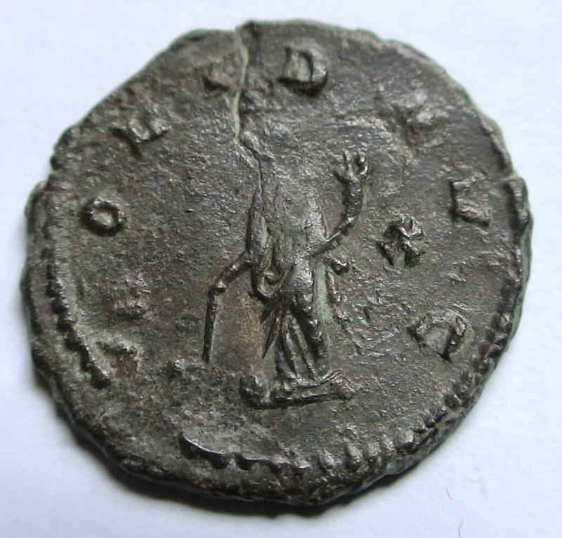 Les monnaies de Gallien à identifier   - Page 5 Dsc06922