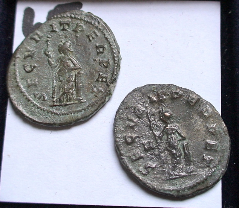 Les monnaies de Gallien à identifier   - Page 5 Dsc06926