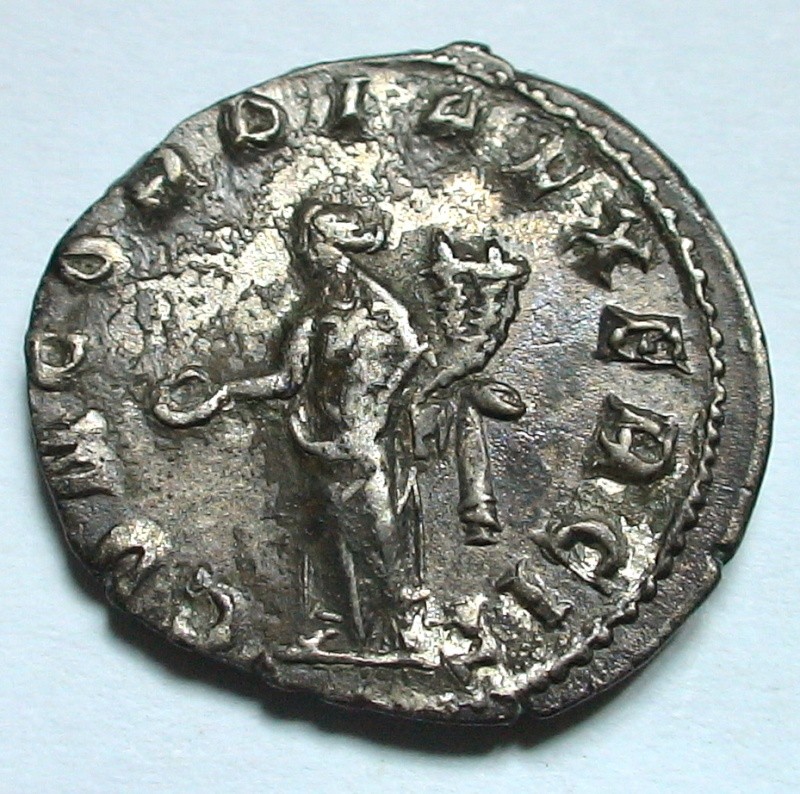 Les monnaies de Gallien à identifier   - Page 5 Dsc06940