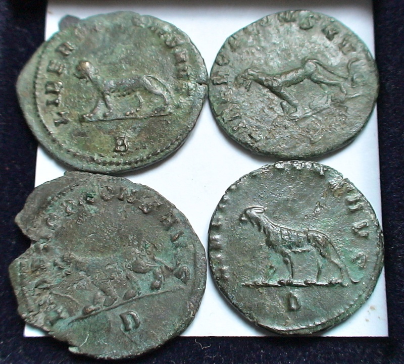 Les monnaies de Gallien à identifier   - Page 5 Dsc06947