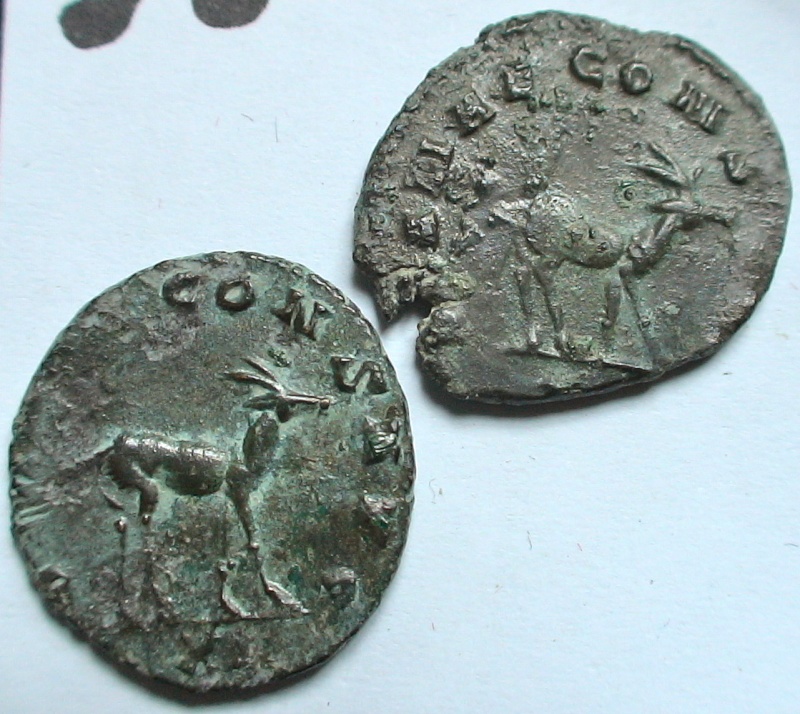 Les monnaies de Gallien à identifier   - Page 5 Dsc06954