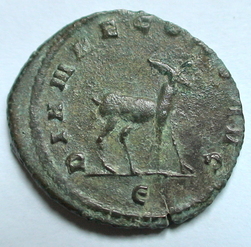 Les monnaies de Gallien à identifier   - Page 5 Dsc06956