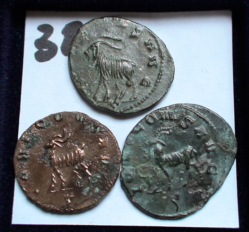 Les monnaies de Gallien à identifier   - Page 5 Dsc06961