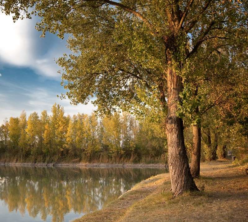 Laghi della Cagnola _dsc2013