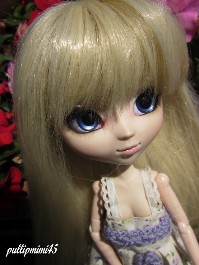 les anges de pullipmimi45 ( new kimiko+sakura animals eyes) Img_0315