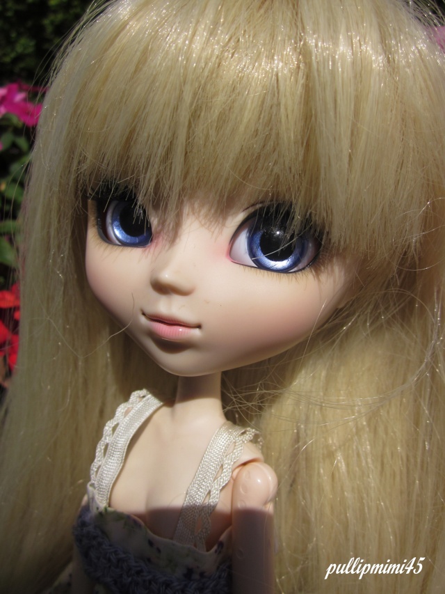 les anges de pullipmimi45 ( new kimiko+sakura animals eyes) Img_0316