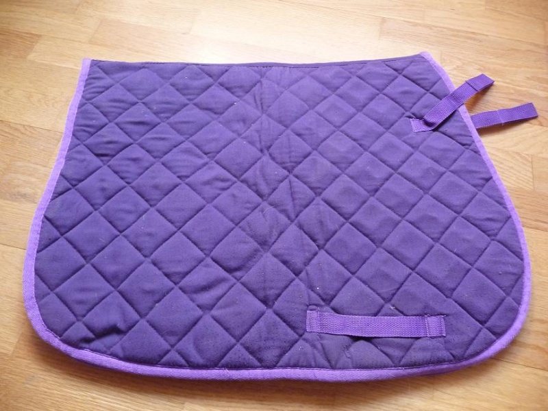 A vendre bridon licol norton violet et tapis HAF violet + divers violet  P1110015