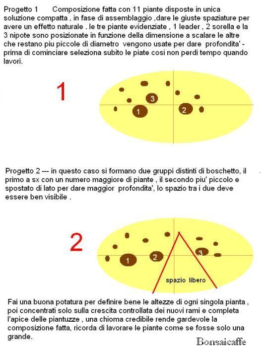 boschetto di melograni Copm_b11