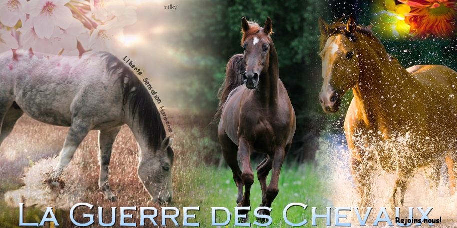 La guerre des chevaux