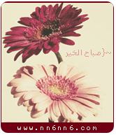 يالله ندردش مع بعض Mms-1210