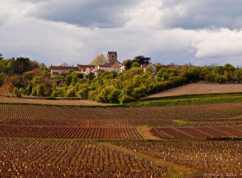 Petit village dominant les vignes P4181312