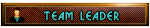 Team Leader Team Leader