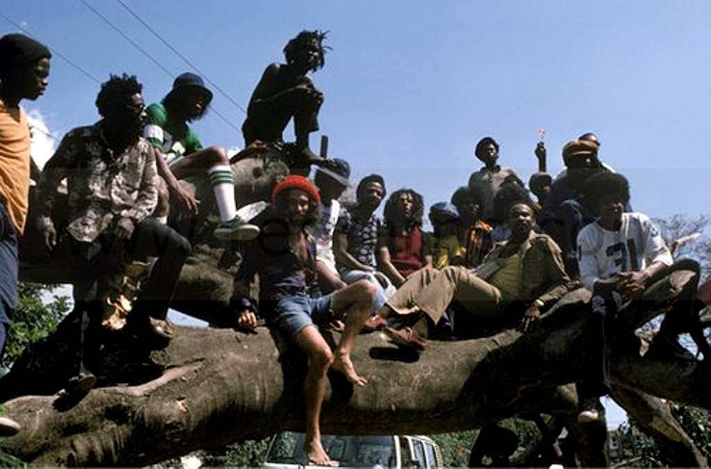 O encontro de Bob Marley e Michael Jackson em um galho de árvore Marley14