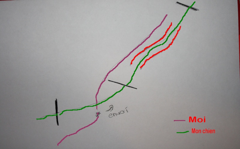 Agility, Mettre 2 ordres différents ou pas? - Page 2 00110