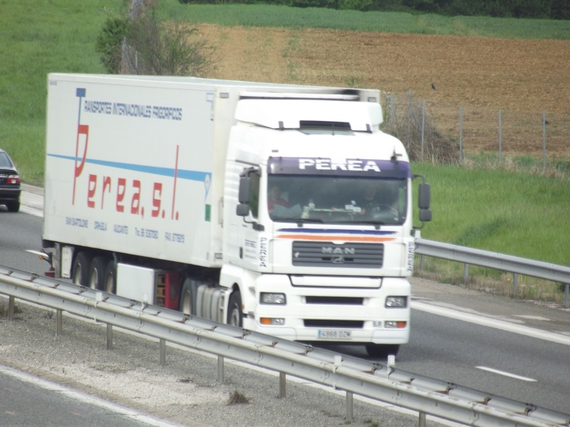 Transportes Perea s.l.  (San Bartolomé-Orihuela - Alicante) Dscf8353