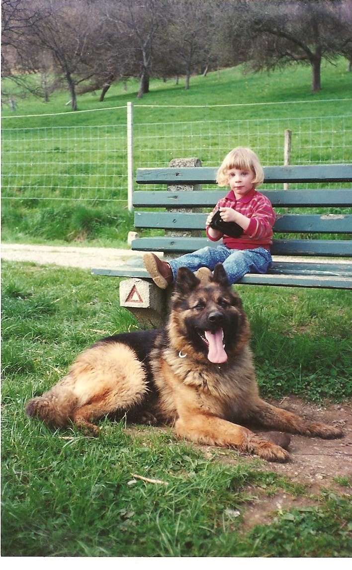 Altdeutscher Schäferhund : Berger Allemand Ancien Type à poils longs 001-cr10