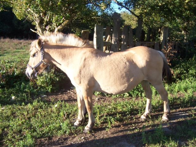 Vega, 30 ans de retour à l'asso  Zorte_18