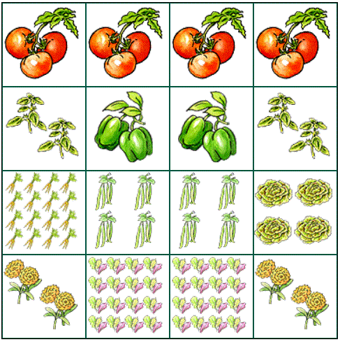 Location Problem For SFG Garden10