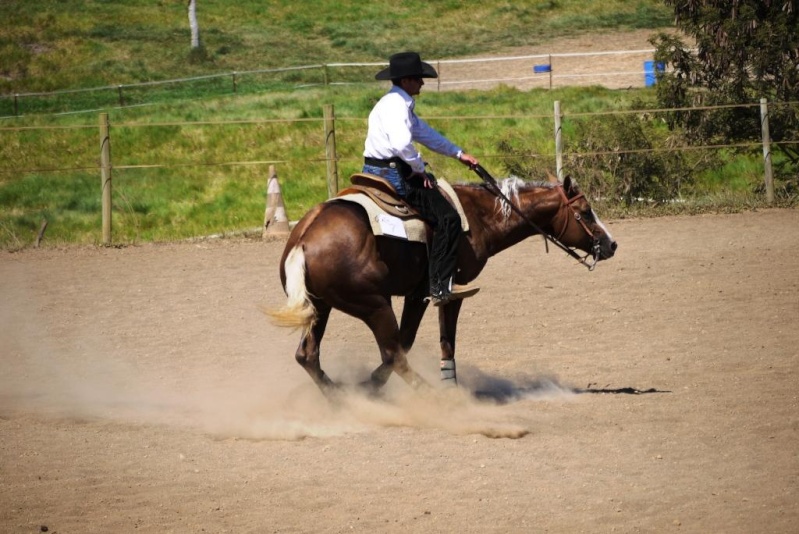 Western en Nouvelle Calédonie P1070514