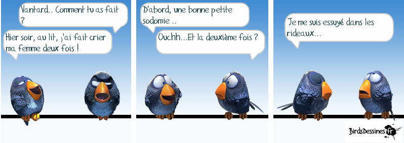 Les Birds Dessinés 13349111