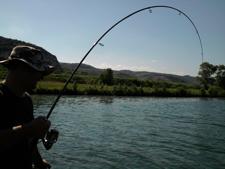 Quelques photos de pêche à la ligne. 30918_10