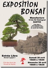 NANTES (44) 28 et 29 avril 2012 expo du club des amis des bonsai 12042811