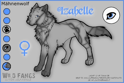Anfangswolf Izabel10